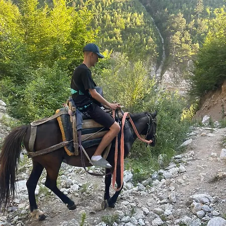 Edona Vlorë